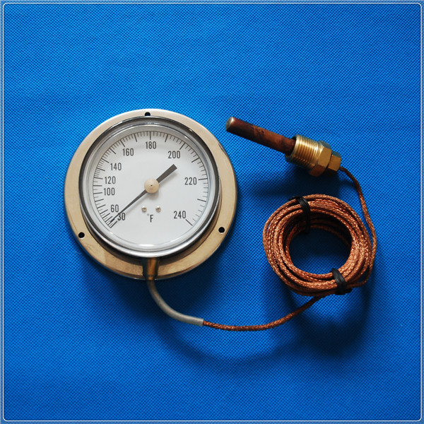 3.5＂ Back flange thermometer